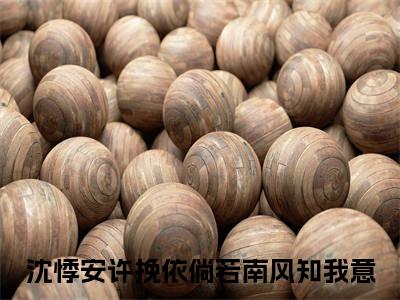 倘若南风知我意沈悸安许挽依彩蛋（沈悸安许挽依）全书在线下载阅读完美终章小说大结局