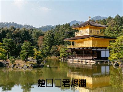 暴戾帝王当众辱我，转身勾他兄弟（楚婳祎君烬渊）全文免费阅读无弹窗完整版，（暴戾帝王当众辱我，转身勾他兄弟）免费阅读全文最新章节列表_笔趣阁