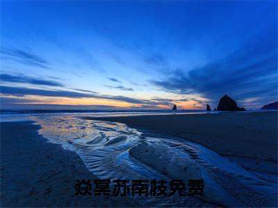 (番外)+(结局)焱冥苏南枝（焱冥苏南枝：结局+后续）全文免费阅读无弹窗大结局_(焱冥苏南枝)最新章节列表_笔趣阁（焱冥苏南枝：结局+后续）