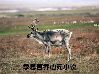季思言乔心茹（季思言乔心茹：结局+番外）全文免费阅读无弹窗大结局_(季思言乔心茹)最新章节列表_笔趣阁（季思言乔心茹：结局+番外）