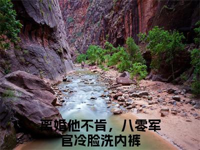 顾淮江晚意：离婚他不肯，八零军官冷脸洗内裤：全文+结局+番外最新章节列表_笔趣阁（离婚他不肯，八零军官冷脸洗内裤：顾淮江晚意：全文+结局+番外）