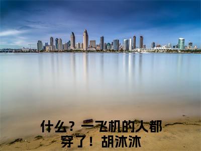 （什么？一飞机的人都穿了！）胡沐沐小说全文免费_（什么？一飞机的人都穿了！）最新章节列表笔趣阁