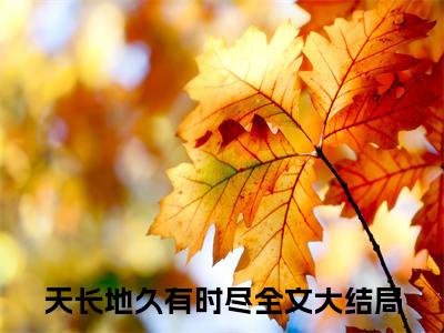 天长地久有时尽（孟岁欢谢有川全章节完整版）免费阅读_（孟岁欢谢有川）天长地久有时尽全文无删减免费阅读