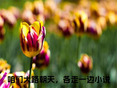 咱们大路朝天，各走一边小说（沈佳音顾修远）全文免费阅读无弹窗_咱们大路朝天，各走一边小说全文免费阅读）沈佳音顾修远最新章节列表笔趣阁