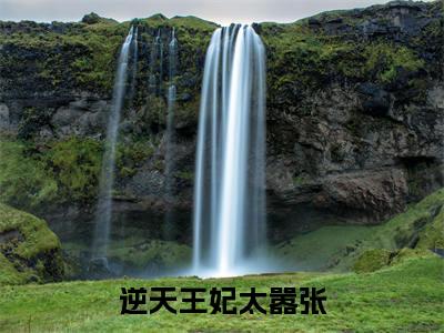 陌御野南朝歌（逆天王妃太嚣张）全文免费阅读无弹窗大结局_陌御野南朝歌全文免费完结版阅读（逆天王妃太嚣张）