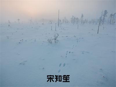 她万人嫌？大佬踹烂修罗场秒上位（宋知笙小说）全文免费阅读无弹窗大结局_（她万人嫌？大佬踹烂修罗场秒上位小说）最新章节列表