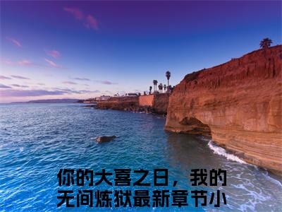 你的大喜之日，我的无间炼狱小说(你的大喜之日，我的无间炼狱)（沈佳茵乐时岳）前传+阅读全新作品预订