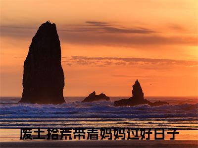 废土拾荒带着妈妈过好日子小说（陆瑶）全文免费阅读大结局_（废土拾荒带着妈妈过好日子）陆瑶小说免费阅读无弹窗