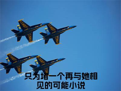 独家只为堵一个再与她相见的可能小说(施窈时青潋)（只为堵一个再与她相见的可能）电子书畅享阅读