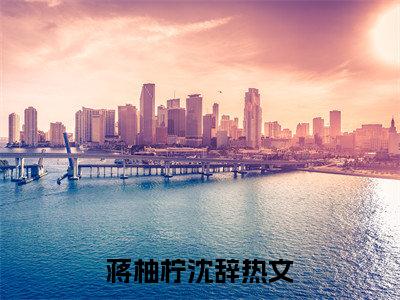 蒋柚柠沈辞（半生情爱已陌路）全文免费阅读-（半生情爱已陌路小说）蒋柚柠沈辞最新章节列表
