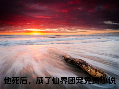 玄泽飞鸢（他死后，成了仙界团宠）小说免费在线阅读_玄泽飞鸢全本免费小说阅读大结局（他死后，成了仙界团宠）