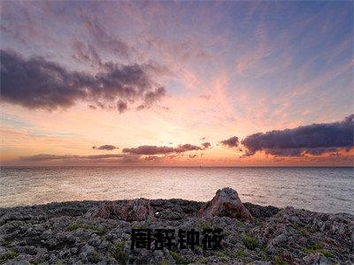缚爱深渊（周辞钟筱：结局+番外）全文免费阅读无弹窗大结局_(缚爱深渊)最新章节列表_笔趣阁（周辞钟筱：结局+番外）