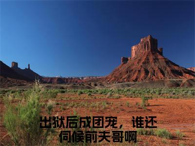 出狱后成团宠，谁还伺候前夫哥啊夏期许彩蛋（夏期许）全书在线下载阅读完美终章小说大结局
