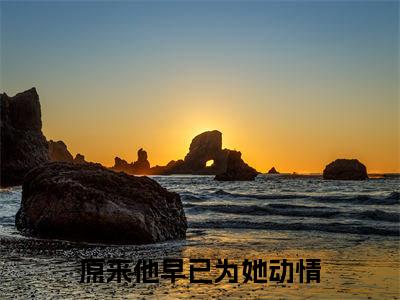 程淮之沈南意（原来他早已为她动情）完整全文在线阅读_原来他早已为她动情小说全章节目录阅读（程淮之沈南意）