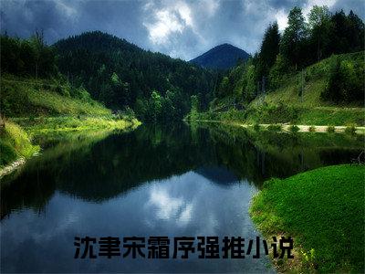 过分野（过分野）全文免费阅读无弹窗_沈聿宋霜序全文免费阅读最新章节大结局