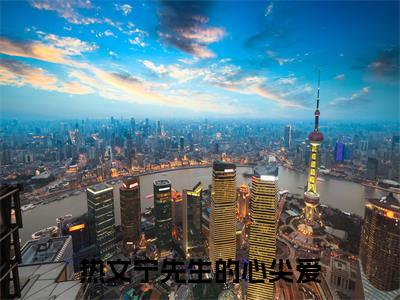 完结文宁衍蓝芯最新章节列表_完结文宁衍蓝芯全文免费阅读（宁先生的心尖爱）(番外)+(全文)