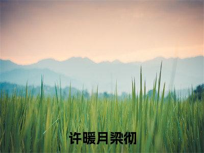 情网中的挣扎与救赎小说完结篇(许暖月梁彻)（情网中的挣扎与救赎）全书无套路阅读无广告小说大结局