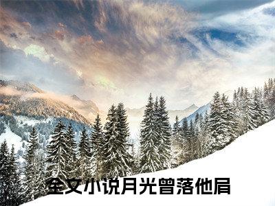 月光曾落他肩（宋晚凝纪延澈）全文免费阅读_（宋晚凝纪延澈）小说月光曾落他肩最新章节阅读