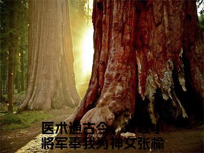 医术通古今，冷峻小将军奉我为神女张榆安（医术通古今，冷峻小将军奉我为神女张榆安）全文免费阅读无弹窗大结局_(医术通古今，冷峻小将军奉我为神女张榆安免费阅读)最新章节列表_笔趣阁