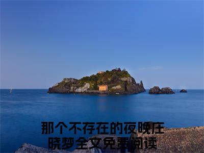 那个不存在的夜晚庄晓梦（那个不存在的夜晚庄晓梦）全文免费阅读无弹窗大结局_那个不存在的夜晚庄晓梦最新章节列表
