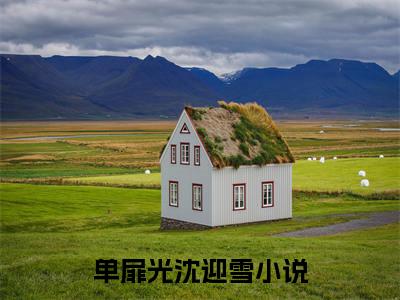 单扉光沈迎雪：结局+番外（重生八零女军长幸福完脱靶了）全文免费阅读无弹窗大结局_(单扉光沈迎雪：结局+番外后续大结局)重生八零女军长幸福完脱靶了最新章节列表_笔趣阁（单扉光沈迎雪：结局+番外）