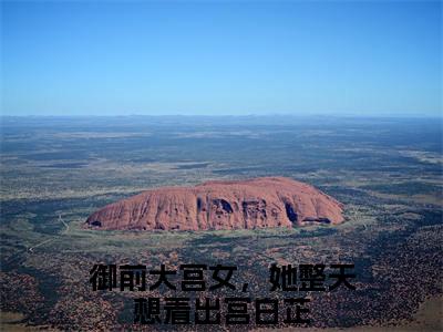 御前大宫女，她整天想着出宫白芷小说全文免费阅读（御前大宫女，她整天想着出宫白芷）全文免费阅读无弹窗大结局_（御前大宫女，她整天想着出宫白芷）御前大宫女，她整天想着出宫白芷结局最新章节列表_笔趣阁（御前大宫女，她整天想着出宫白芷）