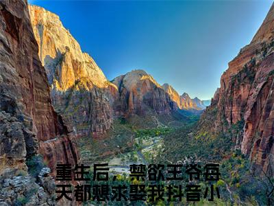 祝卿安边靖昇（重生后，禁欲王爷每天都想求娶我）全文免费阅读无弹窗完整版，（祝卿安边靖昇）免费阅读全文最新章节列表_笔趣阁
