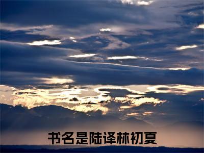 陆译林初夏（陆译林初夏）全文免费阅读无弹窗大结局_陆译林初夏小说最新章节列表笔趣阁（陆译林初夏）