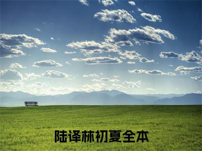 陆译林初夏(陆译林初夏)全文免费阅读大结局_(陆译林初夏)陆译林初夏免费在线阅读无删减_笔趣阁