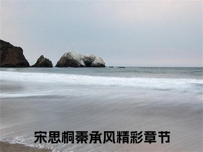 人死后，不该去阴曹地府吗？宋思桐秦承风：全文+后续（人死后，不该去阴曹地府吗？宋思桐秦承风：全文+后续）全文免费阅读无弹窗大结局_人死后，不该去阴曹地府吗？宋思桐秦承风：全文+后续（人死后，不该去阴曹地府吗？）最新章节列表_笔趣阁（人死后，不该去阴曹地府吗？）