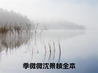 季微微沈景桢番外（季微微沈景桢）TXT+后续+结局在线阅读
