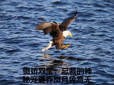 (番外)+(结局)傲娇双宝：总裁的神秘宠妻乔岚月：结局+番外(傲娇双宝：总裁的神秘宠妻乔岚月)全文免费阅读无弹窗大结局_(傲娇双宝：总裁的神秘宠妻乔岚月：结局+番外)最新章节列表_笔趣阁(傲娇双宝：总裁的神秘宠妻乔岚月)