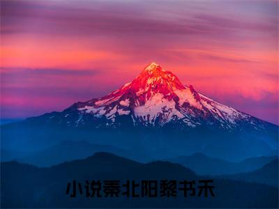 秦北阳黎书禾（秦北阳黎书禾）小说全文免费阅读无弹窗大结局_（秦北阳黎书禾）秦北阳黎书禾最新章节列表笔趣阁（秦北阳黎书禾）