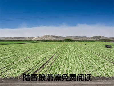 (陆青琅萧凛:结局+番外)结局番外（疯批王爷强夺：惹上本王别想逃）全文免费阅读无弹窗大结局_(陆青琅萧凛:结局+番外)最新章节列表_笔趣阁（疯批王爷强夺：惹上本王别想逃）