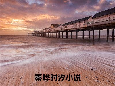 她，夜场野玫瑰，疯批大佬撩红眼（秦晔时汐）全文免费阅读无弹窗_（秦晔时汐小说全文免费阅读）她，夜场野玫瑰，疯批大佬撩红眼最新章节列表笔趣阁