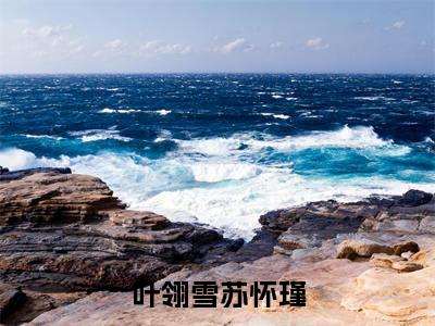 (番外)+(全文)叶翎雪苏怀瑾（叶翎雪苏怀瑾：结局+番外）完整全文在线阅读_叶翎雪苏怀瑾免费阅读最新章节列表_笔趣阁（叶翎雪苏怀瑾：结局+番外）
