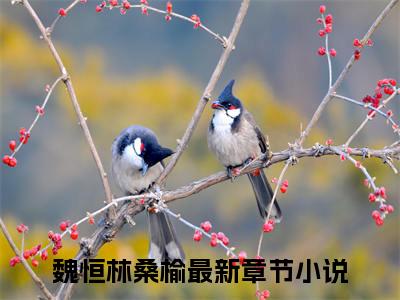 魏恒林桑榆：全文+后续(一千零一次泪流)全文一千零一次泪流阅读无弹窗结局_魏恒林桑榆+结局最新章节列表_笔趣阁（一千零一次泪流：全文+后续）