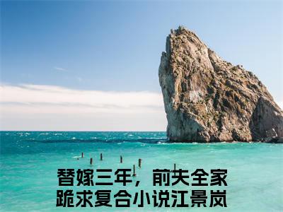 (番外)+(全文)替嫁三年，前夫全家跪求复合：结局+番外+完结小说免费阅读下载阅读_(江景岚白若晰)替嫁三年，前夫全家跪求复合：结局+番外+完结小说免费阅读最新章节列表_笔趣阁（江景岚白若晰）