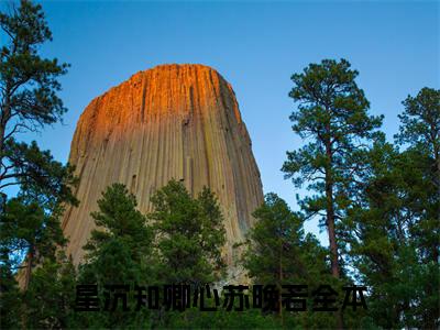 星沉知卿心苏晚若（星沉知卿心苏晚若：结局+番外）小说免费在线阅读_星沉知卿心苏晚若全本最新后续阅读（星沉知卿心苏晚若：结局+番外）