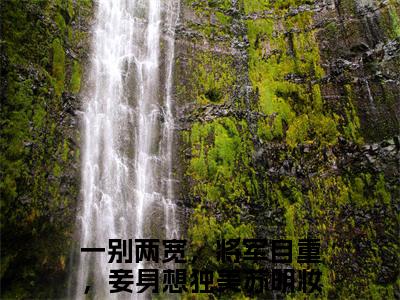 一别两宽，将军自重，妾身想独美苏明妆结局+番外+结局（一别两宽，将军自重，妾身想独美苏明妆）全文免费阅读无弹窗大结局_一别两宽，将军自重，妾身想独美苏明妆：结局+番外免费阅读最新章节列表_笔趣阁（一别两宽，将军自重，妾身想独美苏明妆结局+番外）