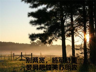 一别两宽，将军自重，妾身想独美苏明妆（一别两宽，将军自重，妾身想独美苏明妆：结局+番外）全文最新免费阅读无弹窗_一别两宽，将军自重，妾身想独美苏明妆精选章节小说阅读_笔趣阁（一别两宽，将军自重，妾身想独美苏明妆：结局+番外）