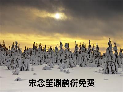 宋念笙谢鹤衍全文+番外免费阅读_（宋念笙谢鹤衍全文+番外免费阅读无弹窗）宋念笙谢鹤衍最新章节列表笔趣阁（宋念笙谢鹤衍全文+番外）