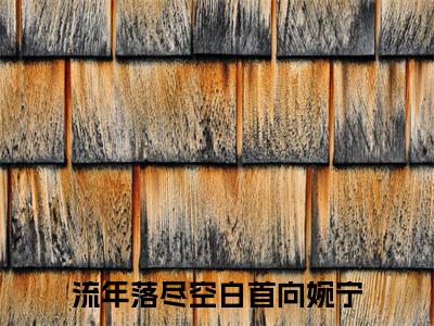 全网首发流年落尽空白首向婉宁小说叫什么(流年落尽空白首向婉宁)（流年落尽空白首向婉宁）全书阅读纯净阅读