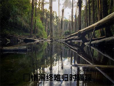 情深终难归时瑾琛：全文+后续（情深终难归时瑾琛）完结阅读无弹窗大结局_(情深终难归时瑾琛：全文+后续)最新章节列表_笔趣阁（情深终难归时瑾琛）