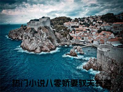 八零娇妻驭夫有道（秦振国唐子晴）全文阅读完整版_八零娇妻驭夫有道（秦振国唐子晴）小说免费阅读大结局无删减