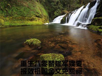 重生八零替嫁军嫂要报效祖国小说（何衿妍温周琰）全文免费阅读无弹窗大结局_（重生八零替嫁军嫂要报效祖国免费阅读全文大结局）最新章节列表