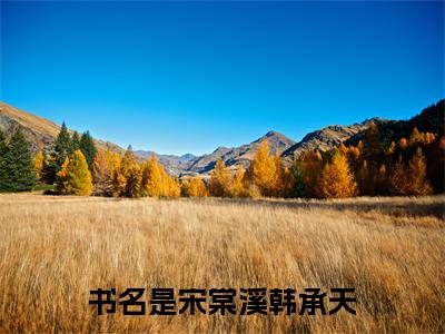 宋棠溪韩承天小说(宋棠溪韩承天)+前传（宋棠溪韩承天）阅读