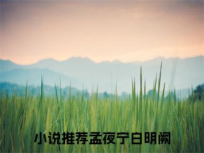 孟夜宁白明阙：大结局+后续小说孟夜宁白明阙小说孟夜宁白明阙：大结局+后续小说孟夜宁白明阙-孟夜宁白明阙：大结局+后续小说小说在哪里可以看孟夜宁白明阙