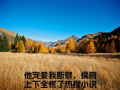 沈倾陆晏他宠妾我断财，侯府上下全慌了：全文+后续（沈倾陆晏他宠妾我断财，侯府上下全慌了：全文+后续）全文免费阅读无弹窗大结局_沈倾陆晏他宠妾我断财，侯府上下全慌了：全文+后续（沈倾陆晏）最新章节列表_笔趣阁（沈倾陆晏）