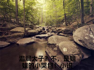 叶舒汐完颜云舒小说完本章节前文+全篇阅读（温润太子？不，是姐姐的小哭包！）连载中
